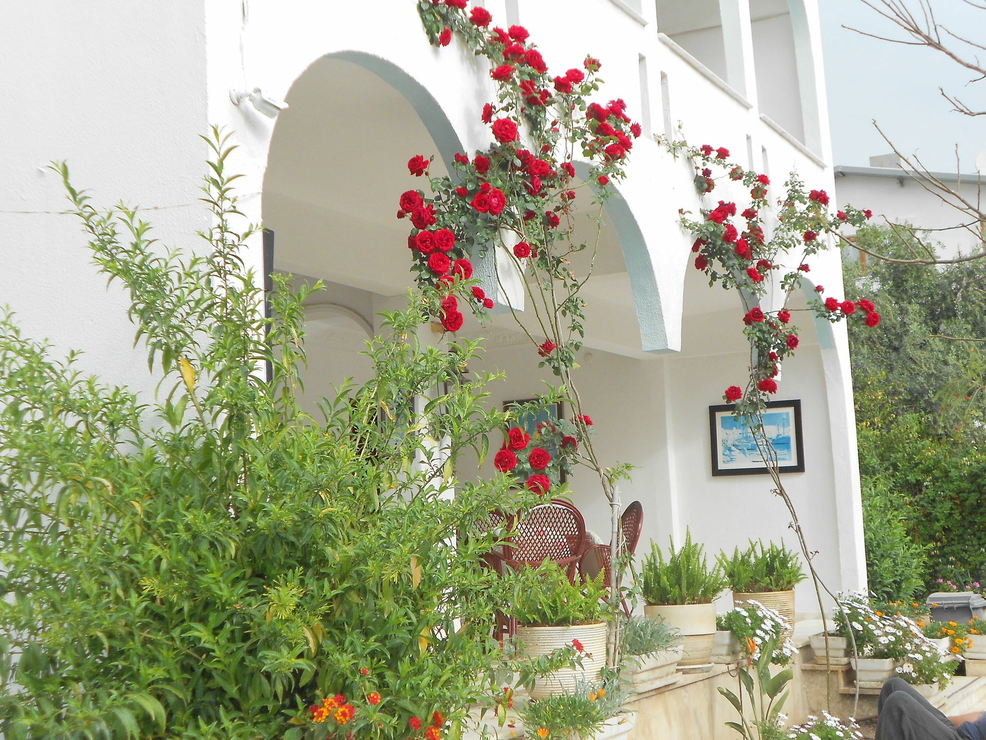 Homestay Garden Prizma Rooms&aparts