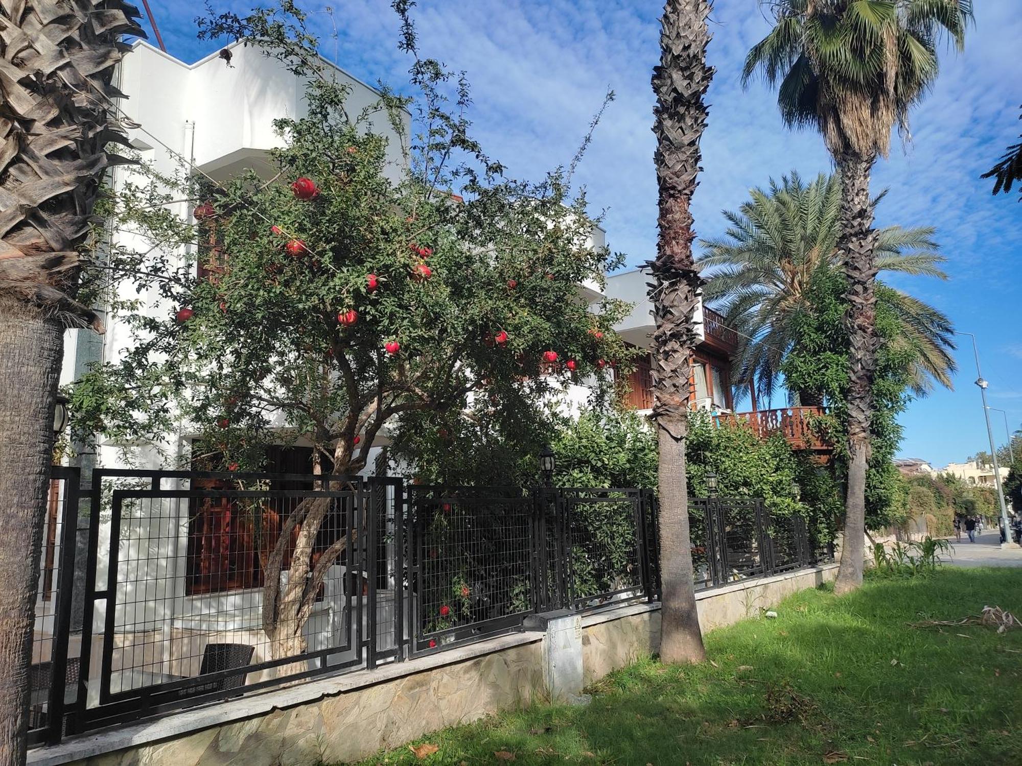 Homestay Garden Prizma Rooms&aparts Kemer